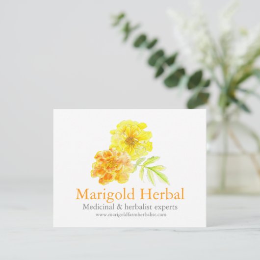 Marigold herbalists medicinal three products info (スタンド正面)