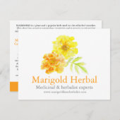 Marigold herbalists medicinal three products info (正面/裏面)