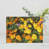 Marigolds シーズンカード (スタンド正面)