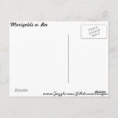 Marigolds w. Bee # 2 ポストカード (裏面)