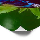 Marilyn Monroe ポスター (コーナー)