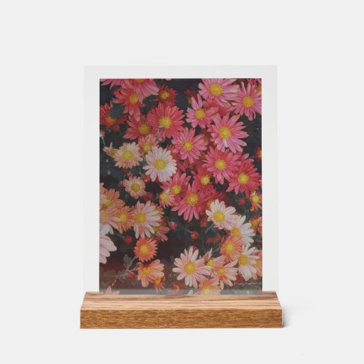 MARINA FILM ART アクリルサイン (正面)
