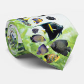Marine angelfish ネクタイ (ロール)