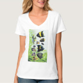 Marine Angelfishes Tシャツ (正面)