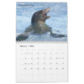 Marine mammals calendar カレンダー (2月 2026)