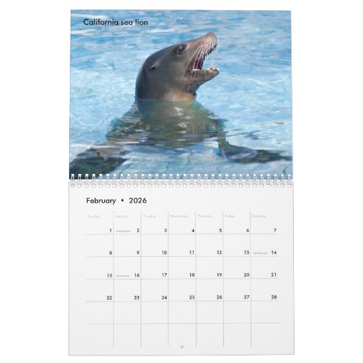 Marine mammals calendar カレンダー (2月 2026)