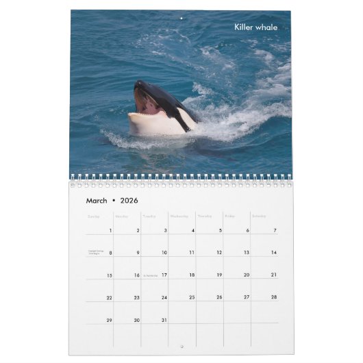 Marine mammals calendar カレンダー (3月 2026)