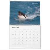 Marine mammals calendar カレンダー (3月 2026)