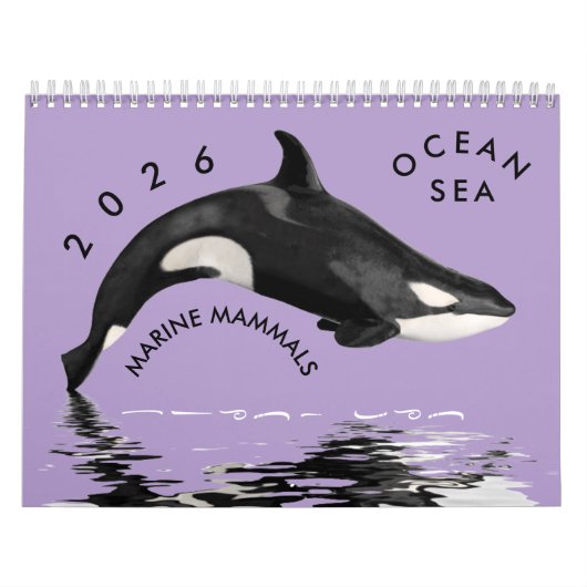 Marine mammals calendar カレンダー (カバー)