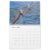 Marine mammals calendar カレンダー (1月 2026)