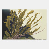 Marine Treasures ラッピングペーパーシート (正面3)