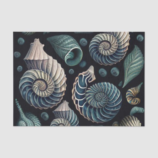 Marine Treasures 薄葉紙 (正面)