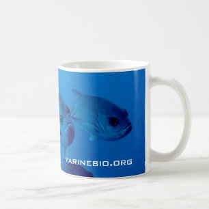 MarineBioのコーヒー・マグ コーヒーマグカップ