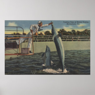 Marineland、フロリダ-ネズミイルカを食べ物を与えることの眺め ポスター