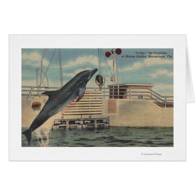 Marineland, Florida - View of Pudgy the (正面横)