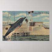 Marineland, Florida - View of Pudgy the ポスター (正面)