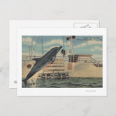 Marineland, Florida - View of Pudgy the ポストカード (正面/裏面)