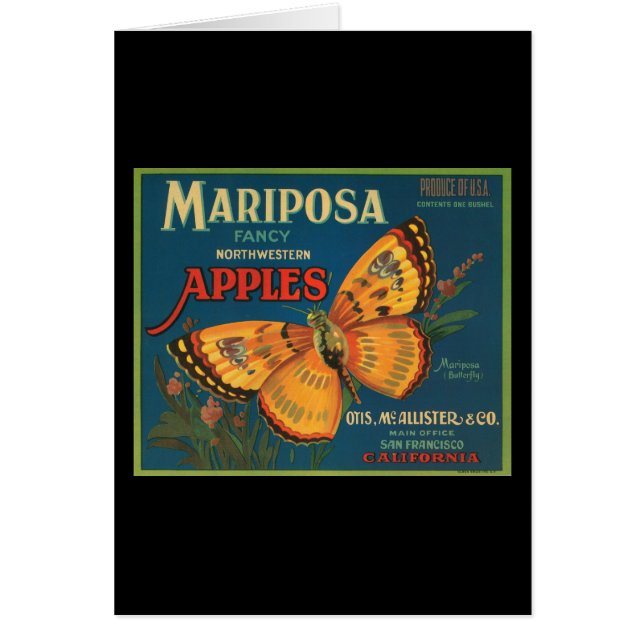 Mariposaのファンシーな北西りんご (正面)