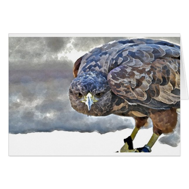 Mariposa (正面横)