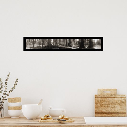 Mariposa Big Tree CA写真1906 ポスター (キッチン)