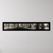 Mariposa Big Tree CA写真1906 ポスター (正面)