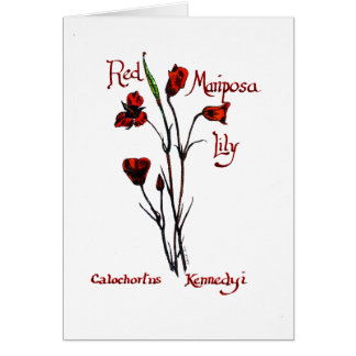 Marisposa赤いユリ