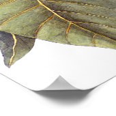 Mark Catesby：ホワイトマグノリアアンティーク植物学 ポスター (角)