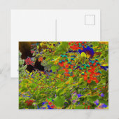 Mark Edward Westerfield、Solarized Red Beres ポストカード (正面/裏面)