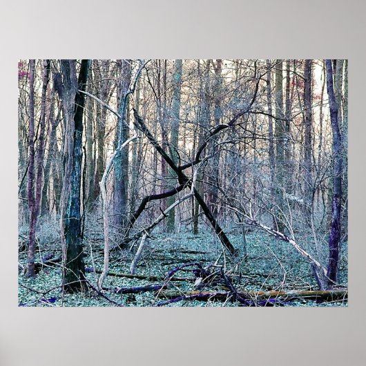 Marks the Spot ポスター (正面)