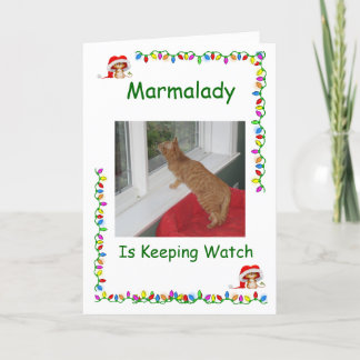 Marmalady Cat Rescueクリスマスカード シーズンカード