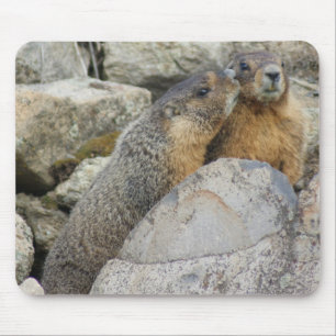 Marmot愛 マウスパッド