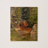 marmot ジグソーパズル (縦)