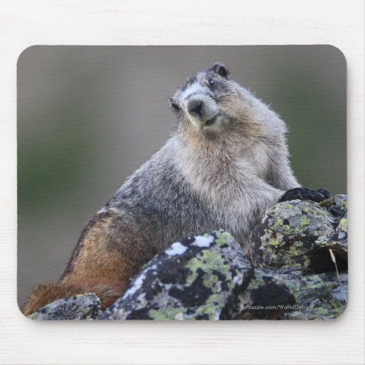 Marmot マウスパッド (正面)
