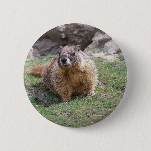 Marmot 缶バッジ (正面)