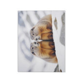 Marmot Animal Nature Wildlife Affection Caring ノートパッド (回転)