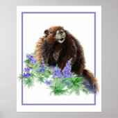 Marmot Groundhog Animal Watercolor Wildlife Art ポスター (正面)