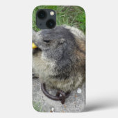 Marmot iPadケース Case-Mate iPhoneケース (裏面)