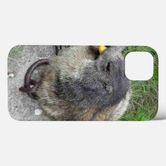 Marmot iPadケース Case-Mate iPhoneケース (裏面 (横))