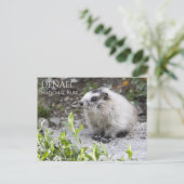 Marmot Pup、Denali国立公園 ポストカード (スタンド正面)