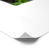 Maroc morocco poster ポスター (角)