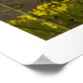 Maroon Bells Floral - poster ポスター (角)