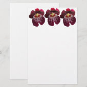 Maroon Orchids II Elegant Floral 便箋 (正面/裏面)