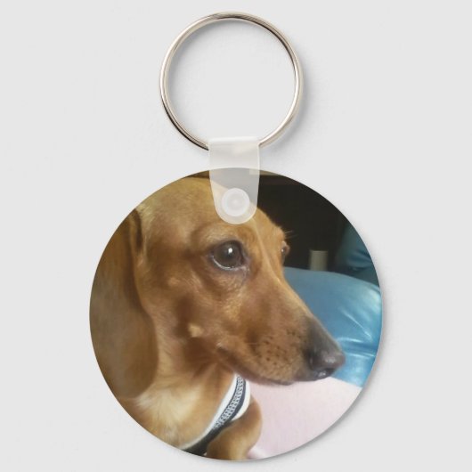 marronsummer09.2 キーホルダー (正面)