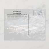 Marsh, Everglades NPのアリゲータースマイル ポストカード (裏面)