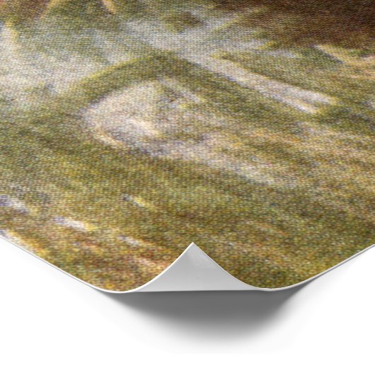 Marsh Hawk ポスター (角)