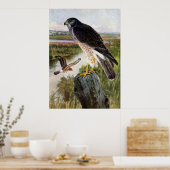 Marsh Hawk ポスター (キッチン)