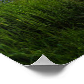 Marshall Point Lighthouse at Sunset ポスター (角)