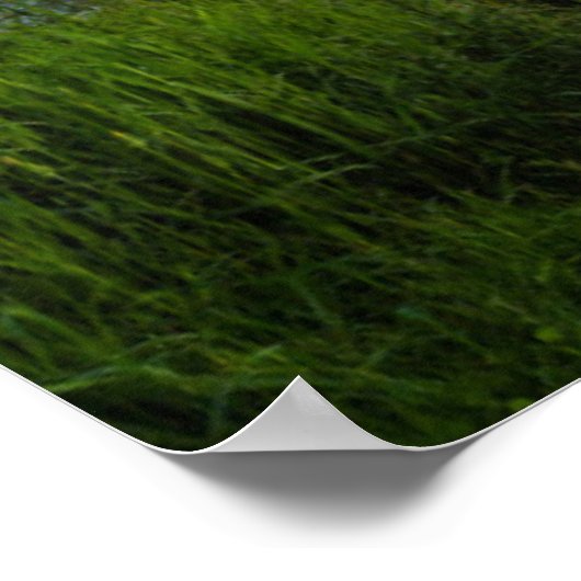 Marshall Point Lighthouse at Sunset ポスター (角)