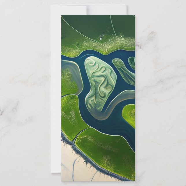 Marshland Elegance (正面)