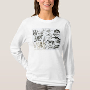 Marsupialia、MonetremataのEdentata Tシャツ